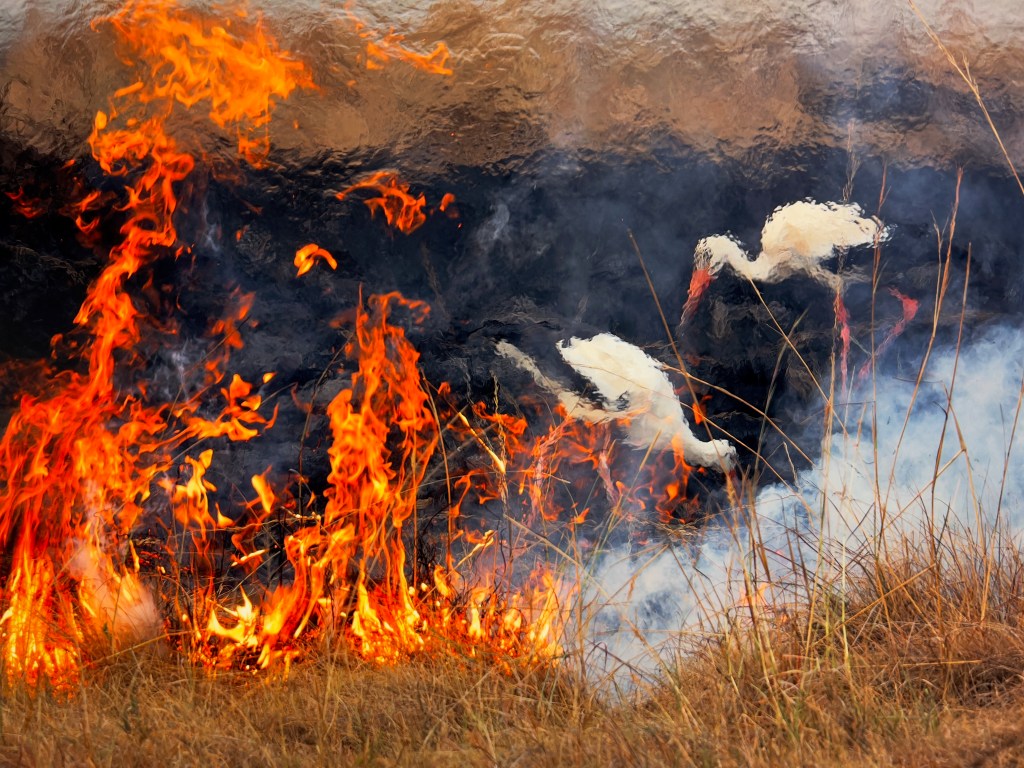 Wildlife Photographer of the Year 2023 at the Royal Ontario&nbsp;Museum