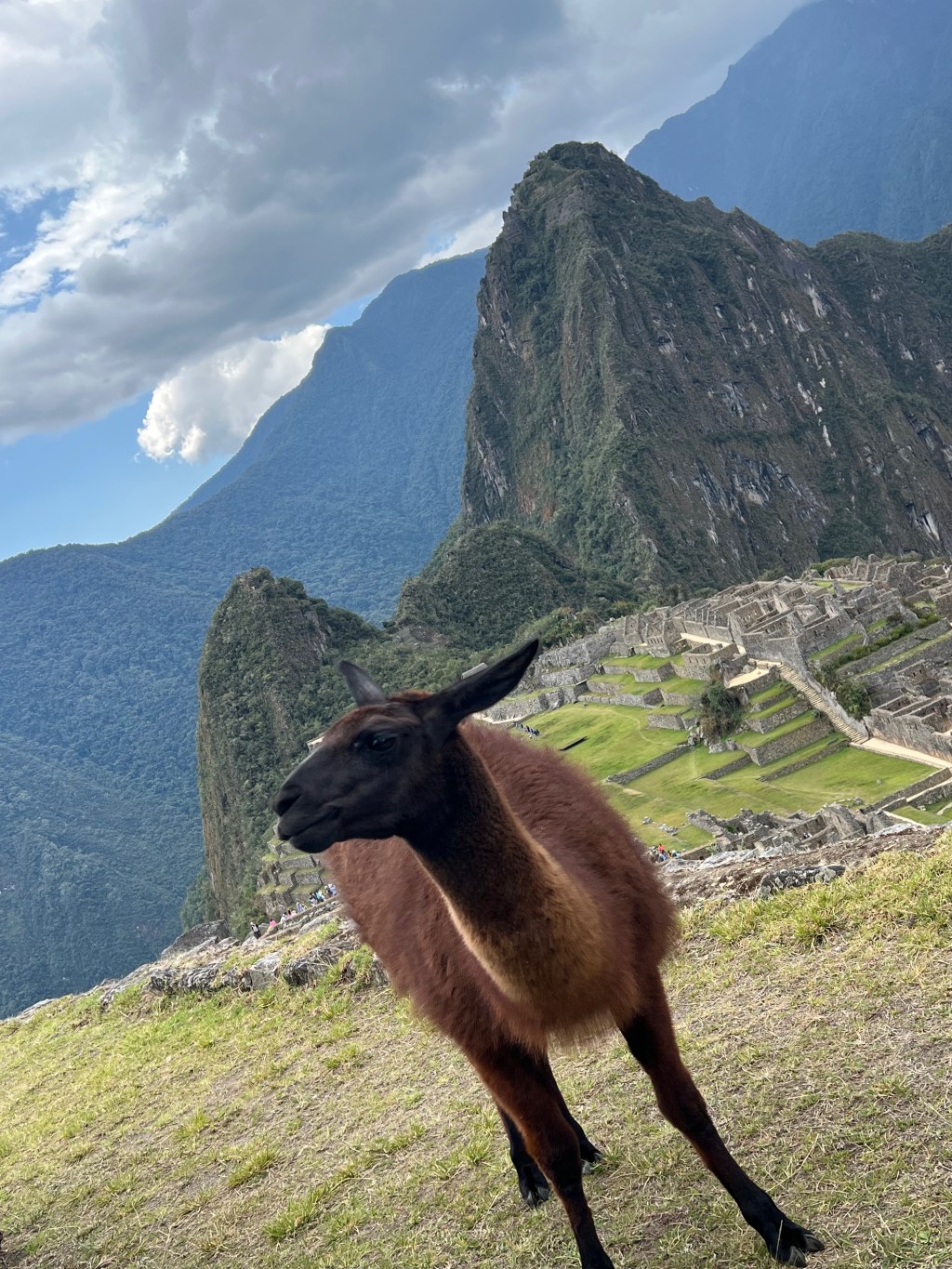 Machu Picchu